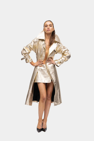 Alyson Eastman Naomi Skirt | Gold